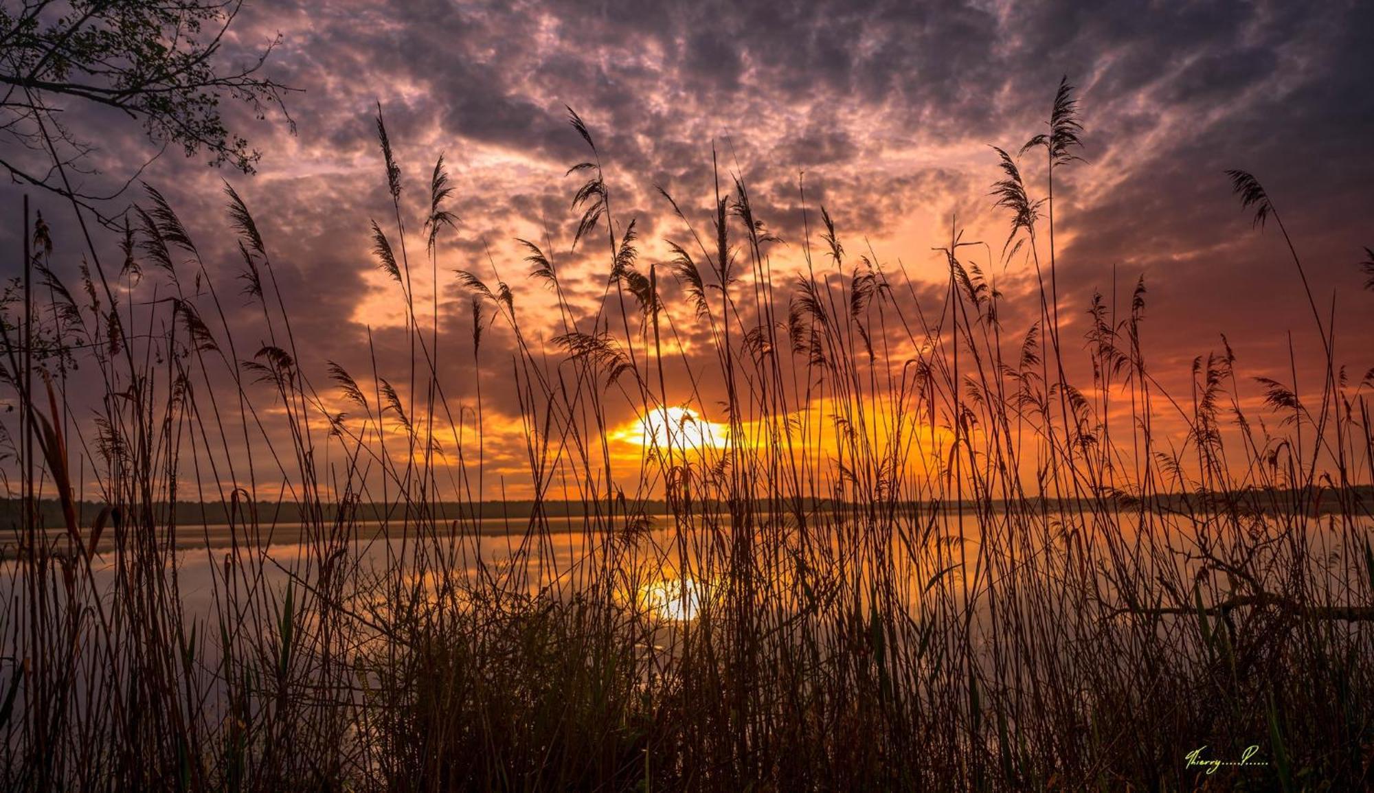 Vk Lake Aureilhan Kültér fotó